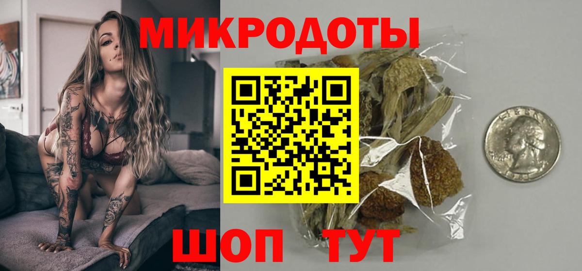 Галлюциногенные грибы Psilocybine cubensis Каменск-Шахтинский